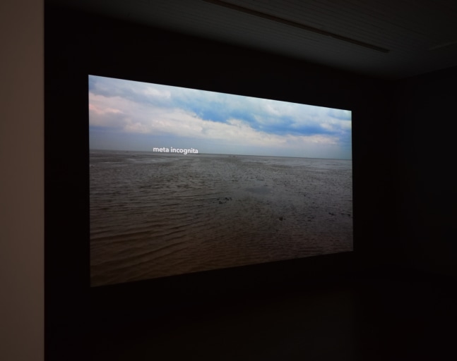 Meta Incognita, 2019 (Installation view)

Film, sound&amp;nbsp;

56 minutes 28 seconds&amp;nbsp;