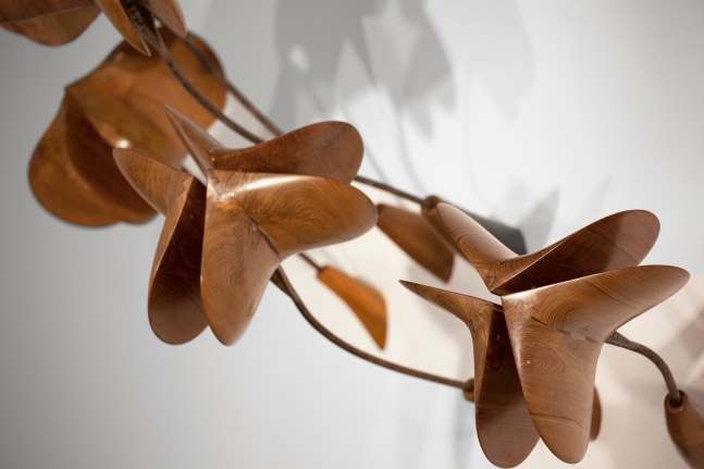 Midmorning blooms, 2020
Teak wood and steel
89&amp;quot; x 113&amp;quot; x 50&amp;quot;