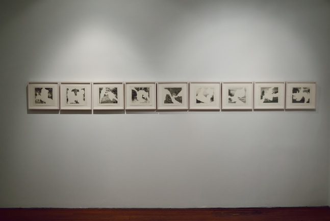 Leopard,&amp;nbsp;2013
Graphite on paper
10&amp;Prime; x 11&amp;Prime; (Each of 10)