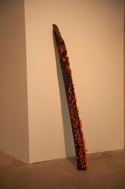 Remanence from last night's dream, 2011
Carved rose wood, lacquered wood and pigments
42.5" x 4" x 4"