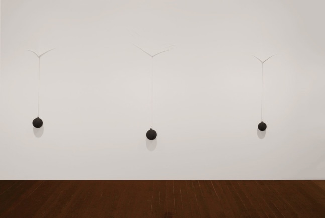Exhibition View