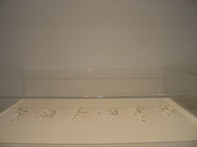 Allan deSouza
The Little Deaths, 2004
Tissue paper, artist's sperm
26" x 16"