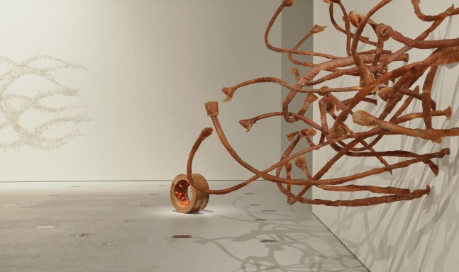 Exhibition View