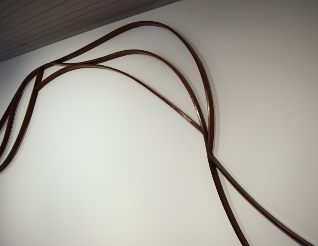 Meandering lines, searching rivers (detail)