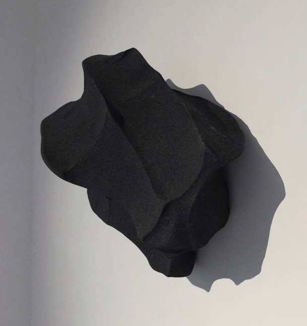 Hold, 2011
Fiberglass and silicon
14 1/2" x 19 1/2" 9 1/4"