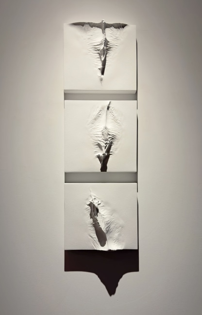 Traces | 2023
Fiberglass and acrylic
40" x 13.25" x 3" (In 3 parts)
TG 5006