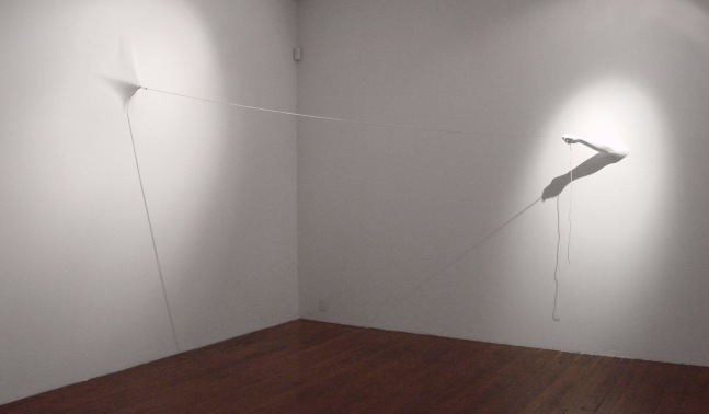 Exhibition View