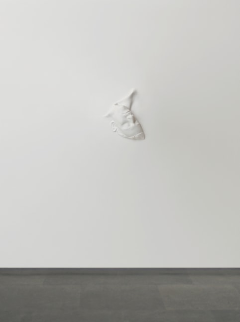 Gravity, 2009
Fiberglass, wood and acrylic
24" x 23"
