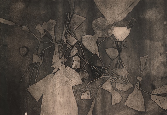 Untitled, ca. 1965
Aquatint  
13” x 19”