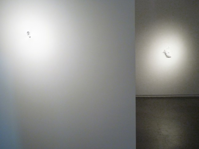 Exhibition View
