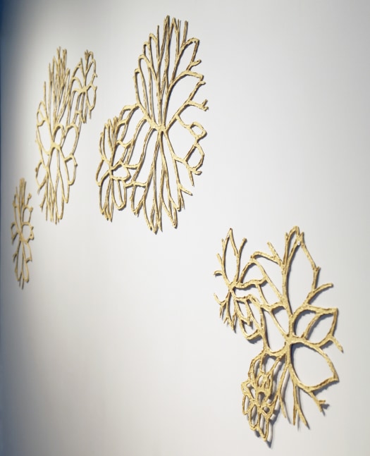 Stonewalls bloom&amp;nbsp;|&amp;nbsp;Detail