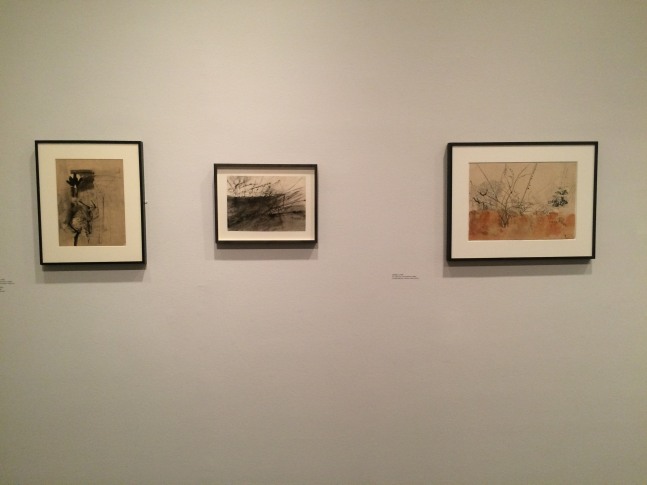 NASREEN MOHAMEDI