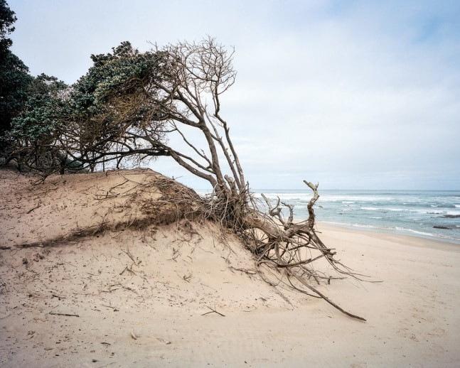 Lindokuhle Sobekwa

Ngqeleni, 2021

Inkjet print on cotton rag

Work: 80 x 100 cm (31.5 x 39.4 in.)

Edition of 3 + 2 AP