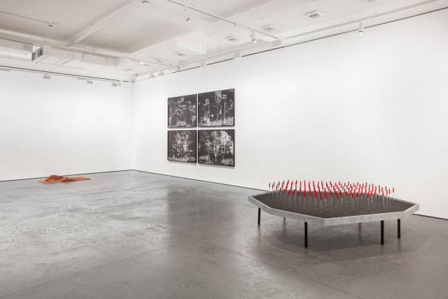 Installation View | Kiluanji Kia Henda, A Healing Path for Phantom Pain, Goodman Gallery London, 2022&amp;nbsp;Photo: Alexander James Edwards