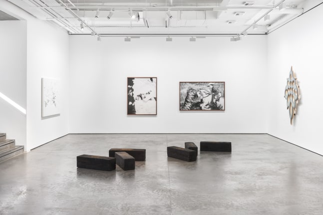 Installation view | Marian Boesky Gallery x Goodman Gallery, Fragile Crossings, 2022. Image: Alexander James Edwards