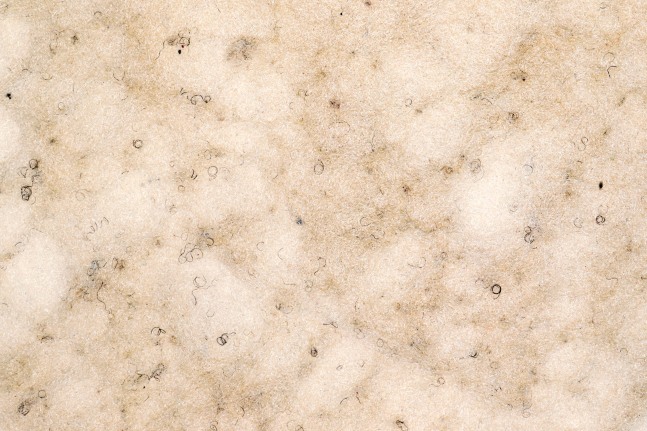 Thembinkosi Hlatshwayo
Untitled 5, 2022

&amp;nbsp;

Enquire