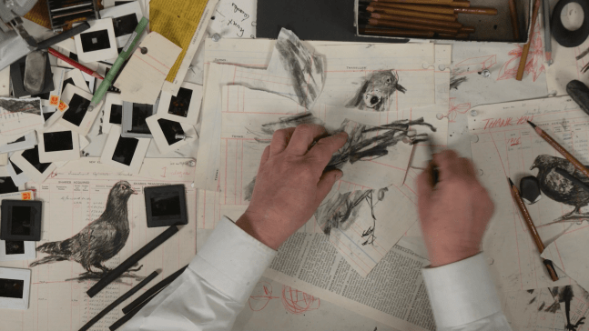 VI. HARVEST OF DEVOTION

Investigating colonialism and its paradoxes. What do we do with history and its monuments, today?