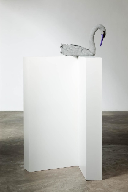 Isabel Nolan  A fanaticism of sympathy