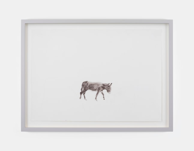 Isabel Nolan Untitled coloured pencil on paper