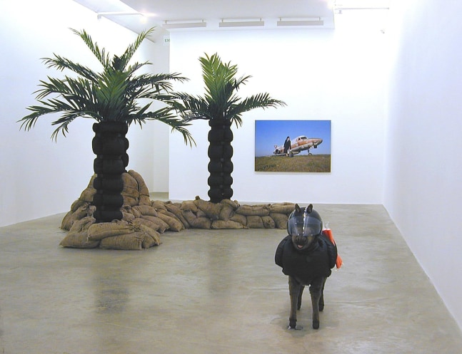 Siobhán Hapaska, Cease Firing On All Fronts 01