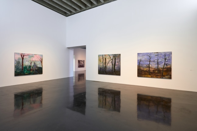 Elizabeth Magill
Headland, 2018 -2019
The New Art Gallery&amp;nbsp; Walsall, UK

&amp;nbsp;