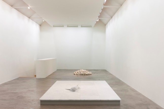 Dorothy Cross I dreamt I dwelt Kerlin Gallery 6 September - 19 October 2019