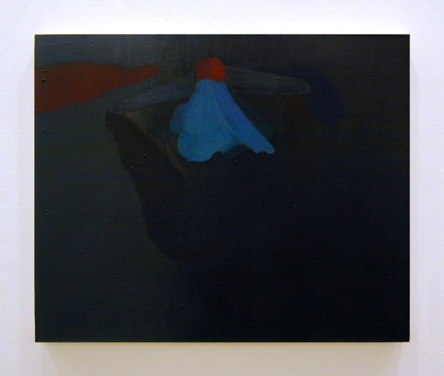 Amanda Thesiger, Prospect