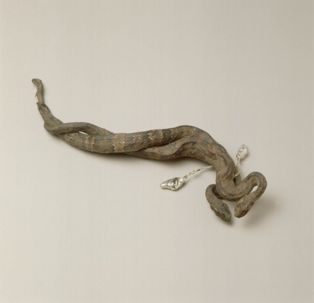Dorothy Cross&amp;nbsp;
Lover Snakes, 1995
stuffed snakes and cast silver reliquaries containing snake hearts
37 x 14 cm / 14.6 x 5.5 in
Collection of Irish Museum of Modern Art, Dublin

&amp;nbsp;