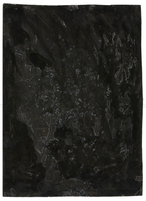 Kathy Prendergast, DARK WOODS # 7