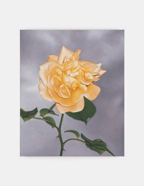 Marcel Vidal&amp;nbsp;

Rose Sky,&amp;nbsp;2023

oil on linen

60 x 50 cm / 23.6 x 19.7 in&amp;nbsp; &amp;nbsp;