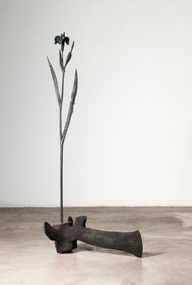 DC Whale Flower II 2010