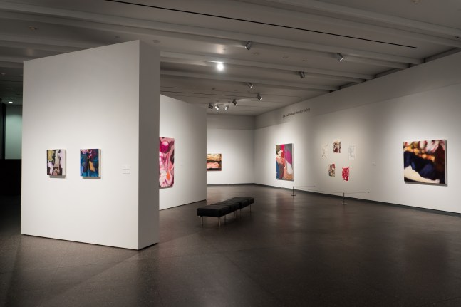 Liliane Tomasko
In Visible World, 2015
Phoenix Art Museum, USA