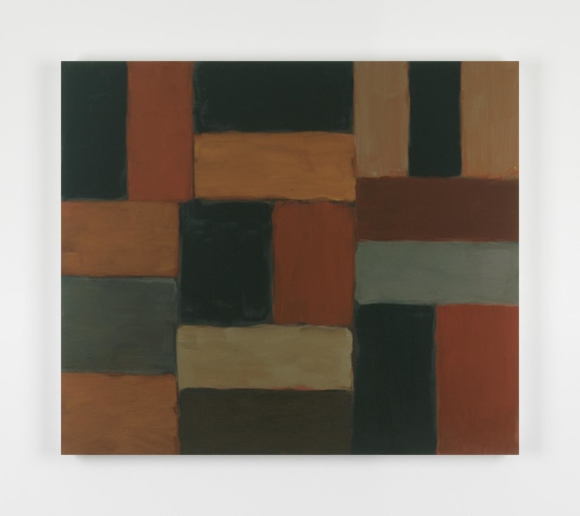 Sean Scully, Abala