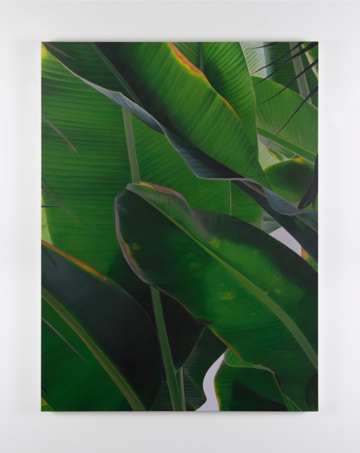 Marcel Vidal&amp;nbsp;
Banana VI, 2021
oil on linen
160 x 120 cm / 63 x 47.2 in&amp;nbsp;