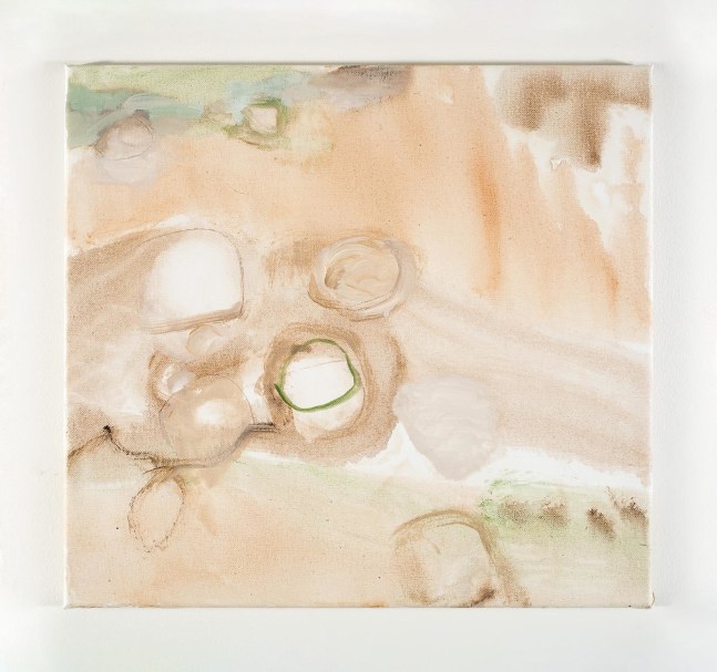 Barrie Cooke, Didymosphenia Geminata