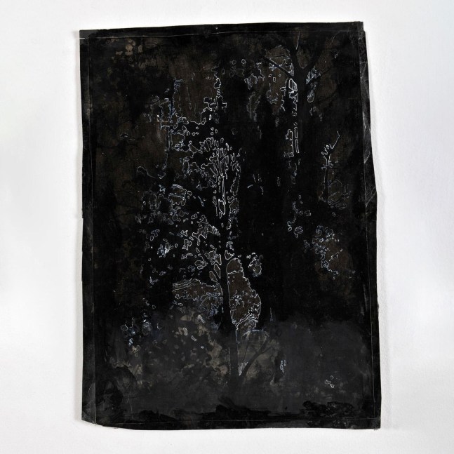 Kathy Prendergast, DARK WOODS,