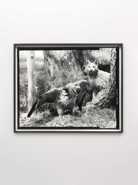 Gerard Byrne&amp;nbsp;
First beast 2018
Analogue silver gelatin print, edition of 4 + 1AP
60.5 x 74 cm / 23.8 x 29.1 in framed&amp;nbsp;&amp;nbsp;