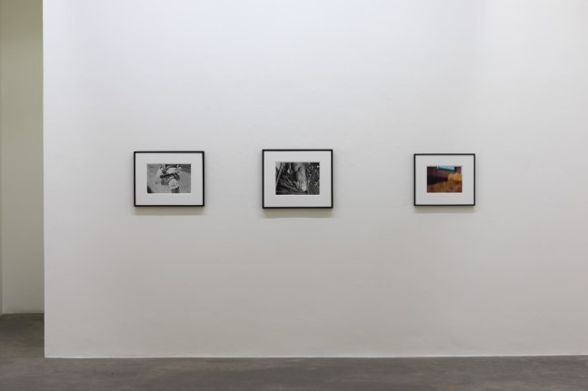 Samuel Laurence Cunnane, Kerlin Gallery, September - October 2020