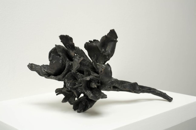 Kathy Prendergast, Small bouquet 2