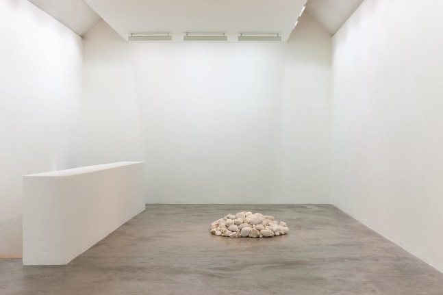 Dorothy Cross I dreamt I dwelt Kerlin Gallery 6 September - 19 October 2019