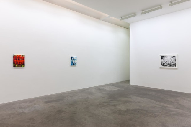 Eoin Mc Hugh,&amp;nbsp;Loje, jelo, laso, Kerlin Gallery, October 2019