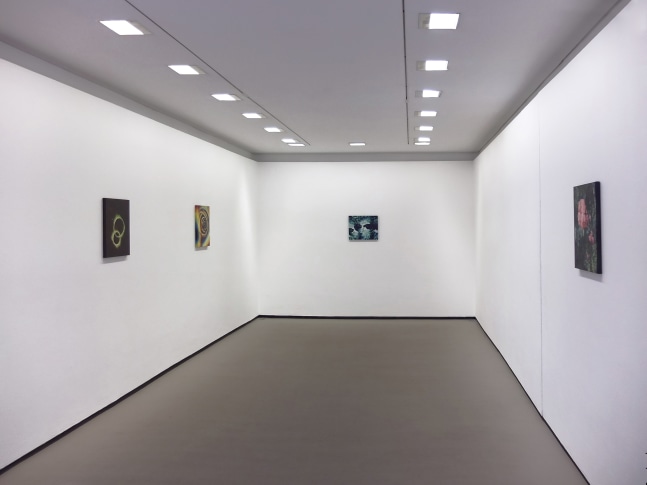 Eoin McHugh
Eoin McHugh, 2016
Gallery 2, Douglas Hyde Gallery, Dublin, Ireland