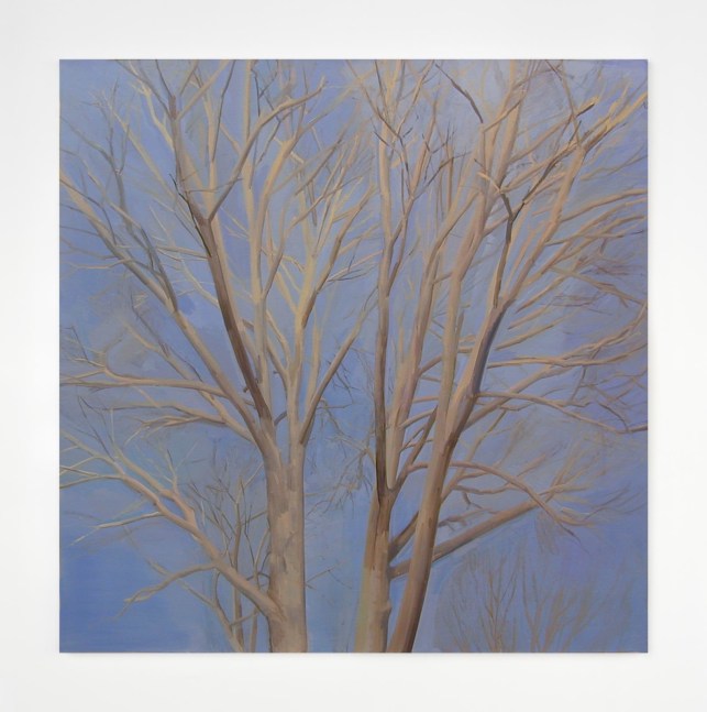 Sylvia Plimack, Mangold The Pin Oak (Winter)