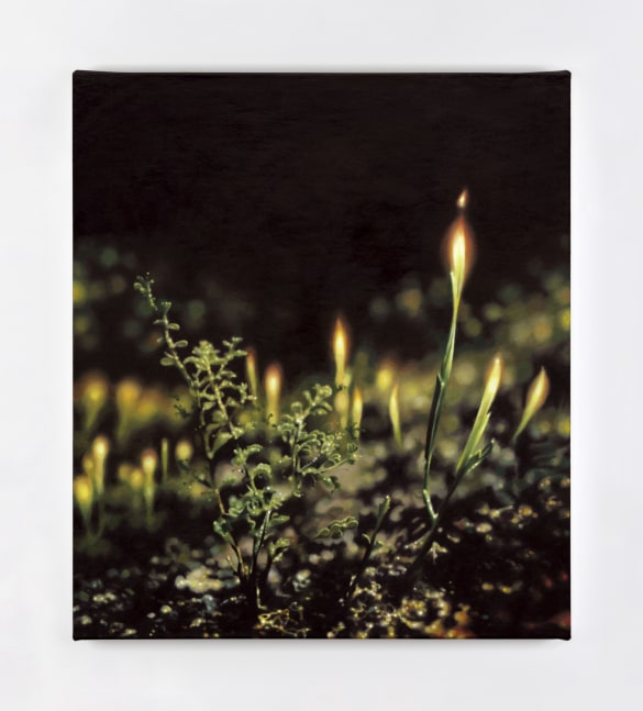 Eoin Mc Hugh&amp;nbsp;
pulse, thirst, rain inside, 2013
oil on canvas mounted on aluminium panel
36.5 x 31.5 cm / 14.4 x 12.4 in&amp;nbsp; &amp;nbsp;