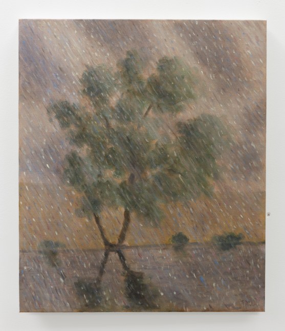 Rainy Tree 2007 K1407