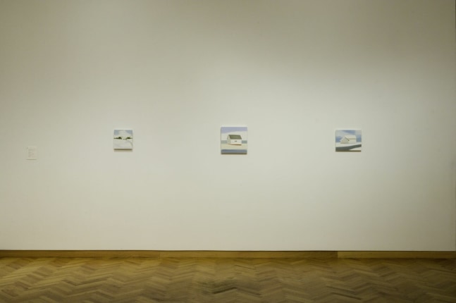 Maureen Gallace
Maureen Gallace, 2006
The Art Institute of Chicago, Chicago, USA