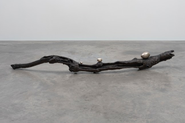 Dorothy Cross&amp;nbsp;
Branch, 2017
cast bronze branch and three polished bronze eggs
20 x 203 x 15 cm / 7.9 x 79.9 x 5.9 in