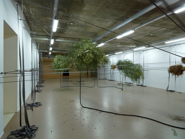 Siobh&amp;aacute;n Hapaska
Sensory Spaces, 2014
Museum Boijmans Van Beuningen, Rotterdam, The Netherlands
Photo: Hans Wilschut, Rotterdam

&amp;nbsp;