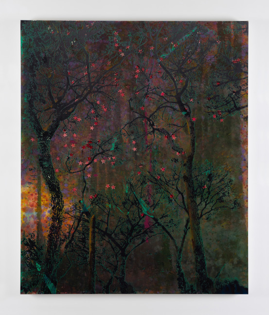 Elizabeth Magill&amp;nbsp;
Red Stars, 2021
oil and mixed media on canvas
183 x 153 cm / 72 x 60.2 in&amp;nbsp; &amp;nbsp;

&amp;nbsp;