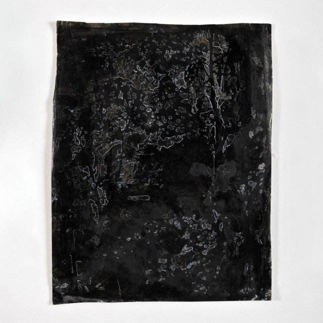 Kathy Prendergast  DARK WOODS